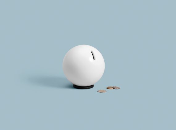 Nest - Görsel 2